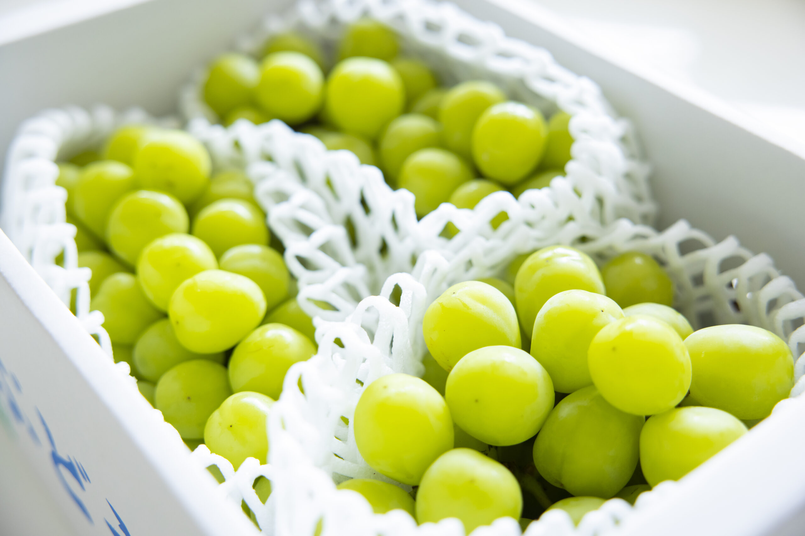 主要ポータルサイトに対応